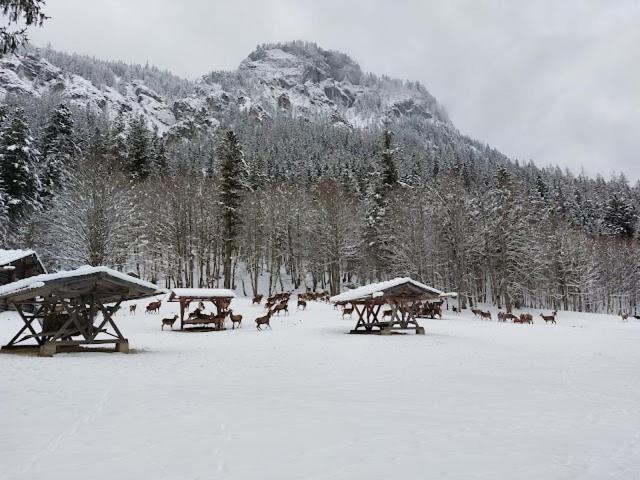 Haus Muehlgraben Hotel Ramsau bei Berchtesgaden Exterior foto